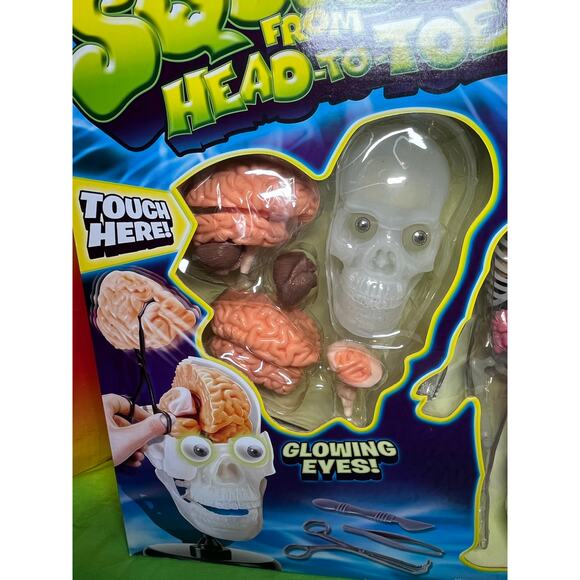 SMARTLAB Toys Totally Squishy from Head-to-Toe Human Body - Picture 3 of 6
